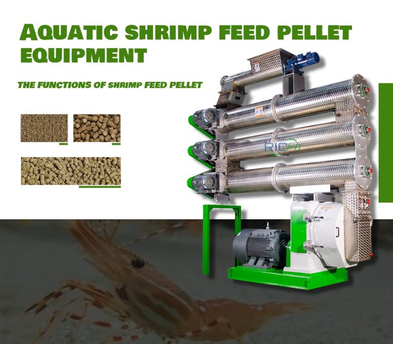 Application of Shrimp Feed Pellet Machine in Shrimp Feed Factory