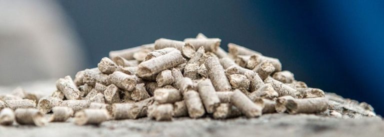 Optimizing the Production Process of a Bagasse Pellet Machine to Reduce Costs