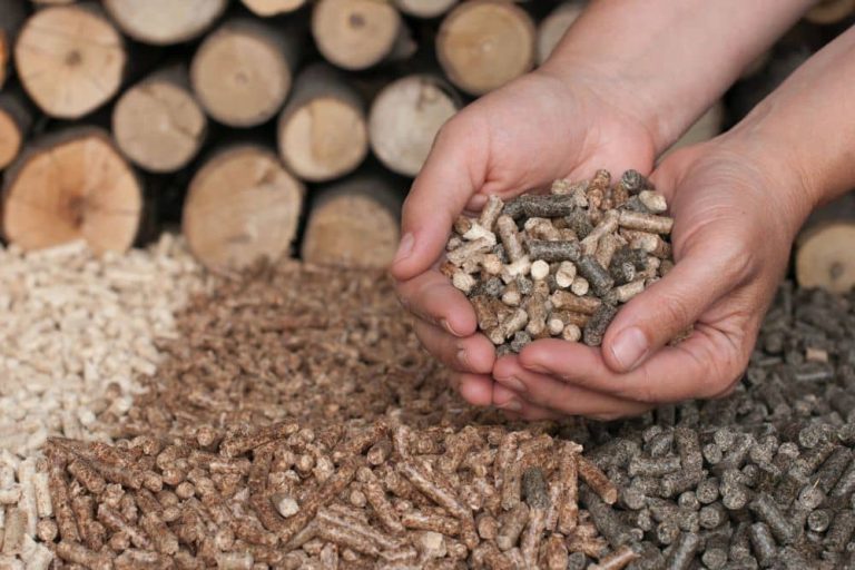 Why Biomass Pellets Are a Smart Renewable Fuel Choice
